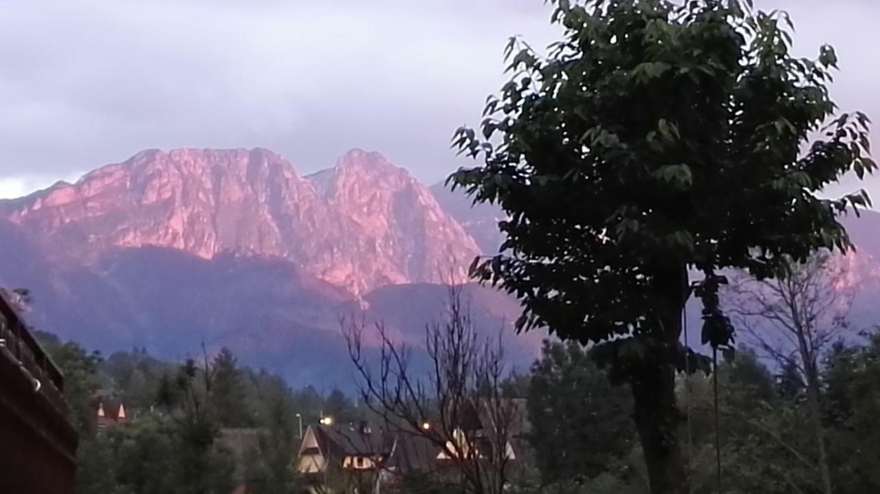 Willa U Zofii Zakopane Exterior photo
